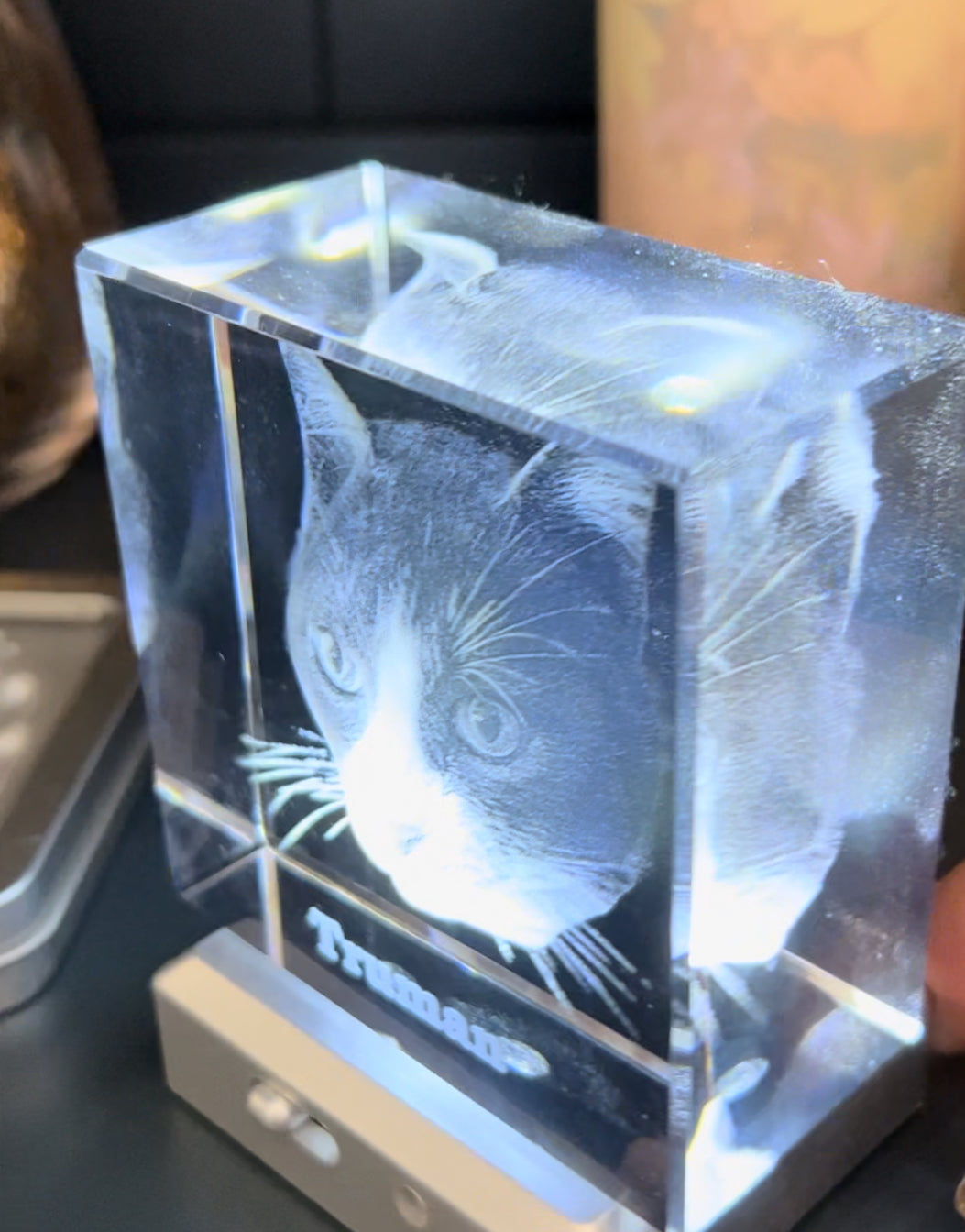 evmtesti_expertvillagemedia