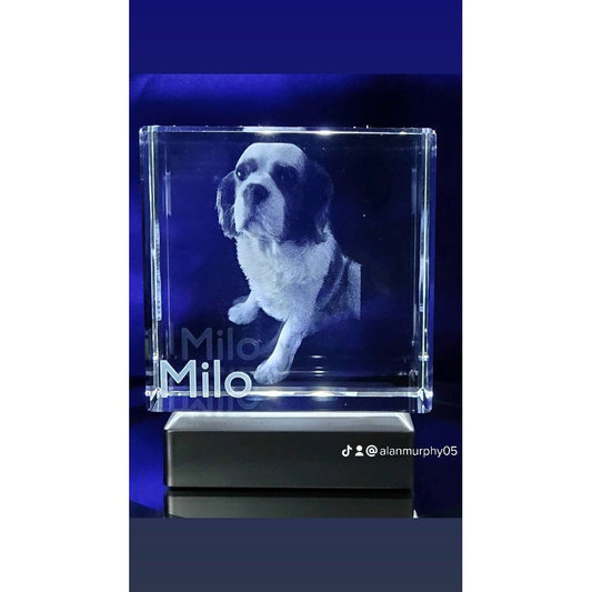 Pet memorial. Size H80mm x W80mm x D40mm